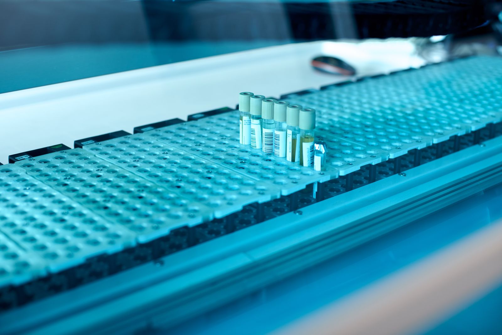 Laboratory samples in test tubes